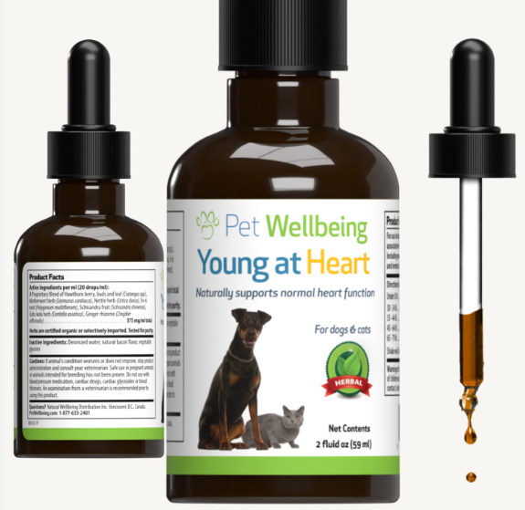 Nettle powder for dogs
