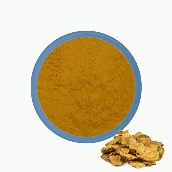 Rhubarb root powder manufacturer Rhubarb root powder manufacturer