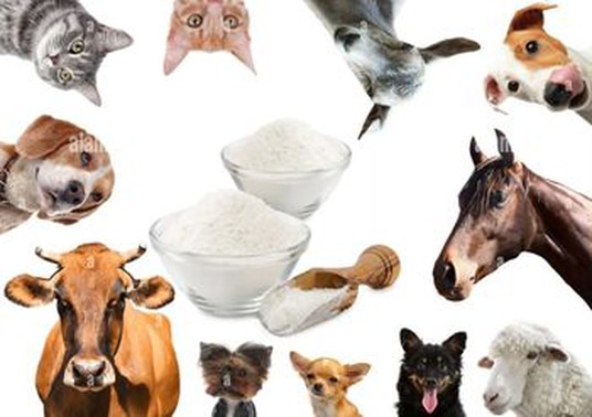 Glucose Powder supplier Glucose Powder supplier